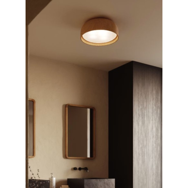 Потолочный светильник Xaviera L0100025SS40 Ø 36 см 